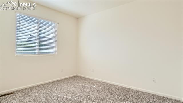 11536 Black Maple Lane