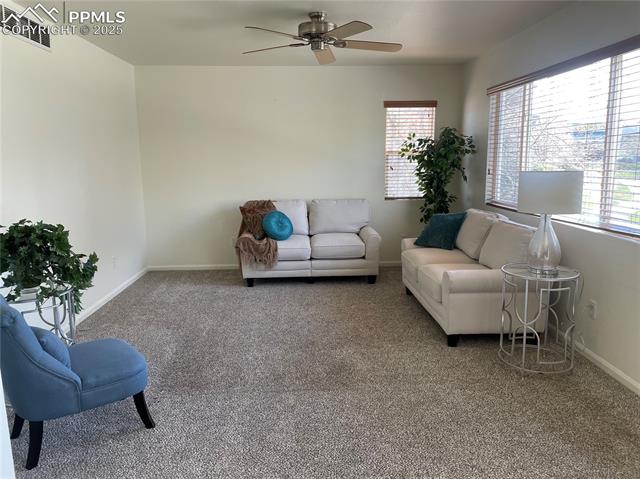 11536 Black Maple Lane