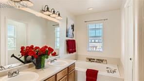 11536 Black Maple Lane