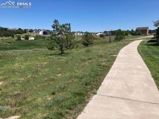 11536 Black Maple Lane