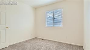 11536 Black Maple Lane