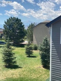 11536 Black Maple Lane