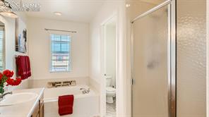 11536 Black Maple Lane