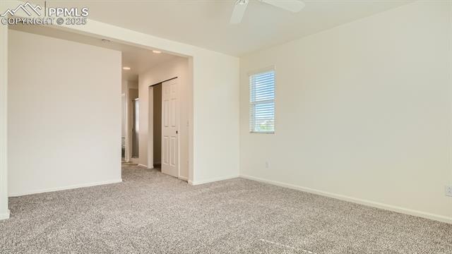 11536 Black Maple Lane