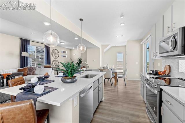 9353 Twin Sisters Drive