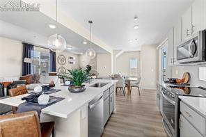 9353 Twin Sisters Drive