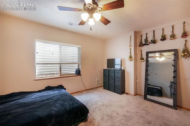 4197 Purple Plum Way