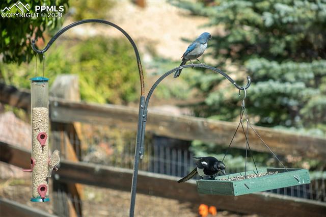 3256 Waterfront Drive