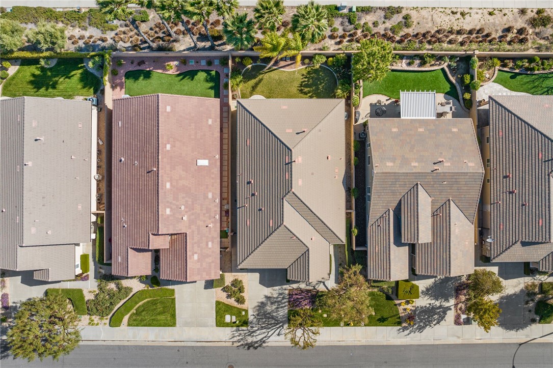 26233 Desert Rose Lane