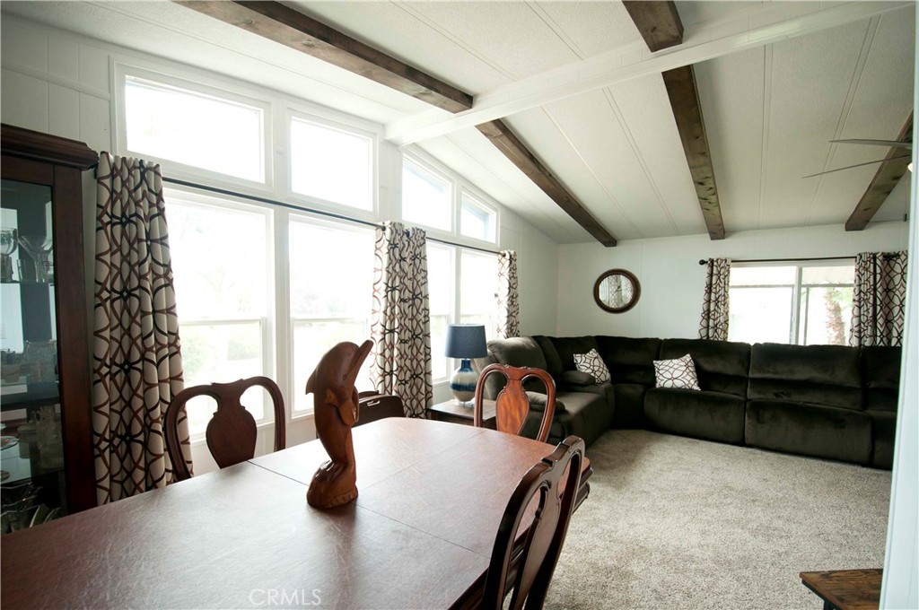 26037 Sago Palm Drive