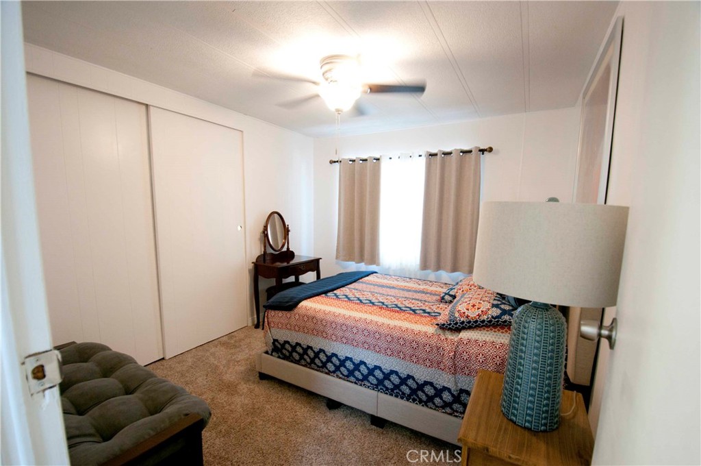 26037 Sago Palm Drive