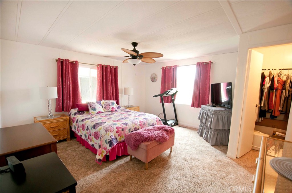 26037 Sago Palm Drive