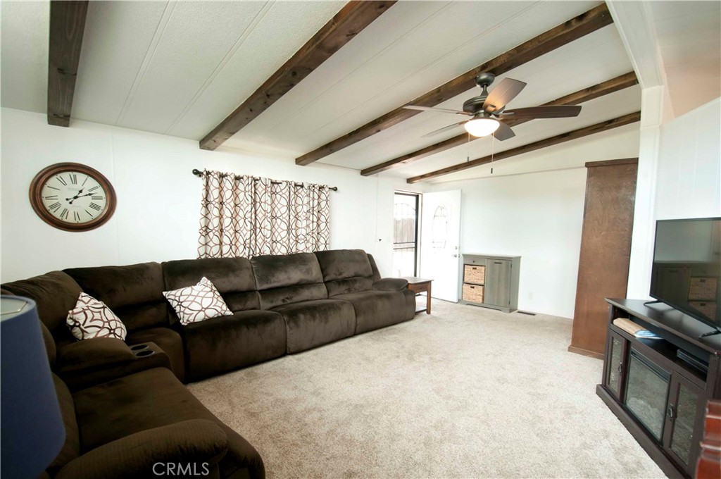 26037 Sago Palm Drive