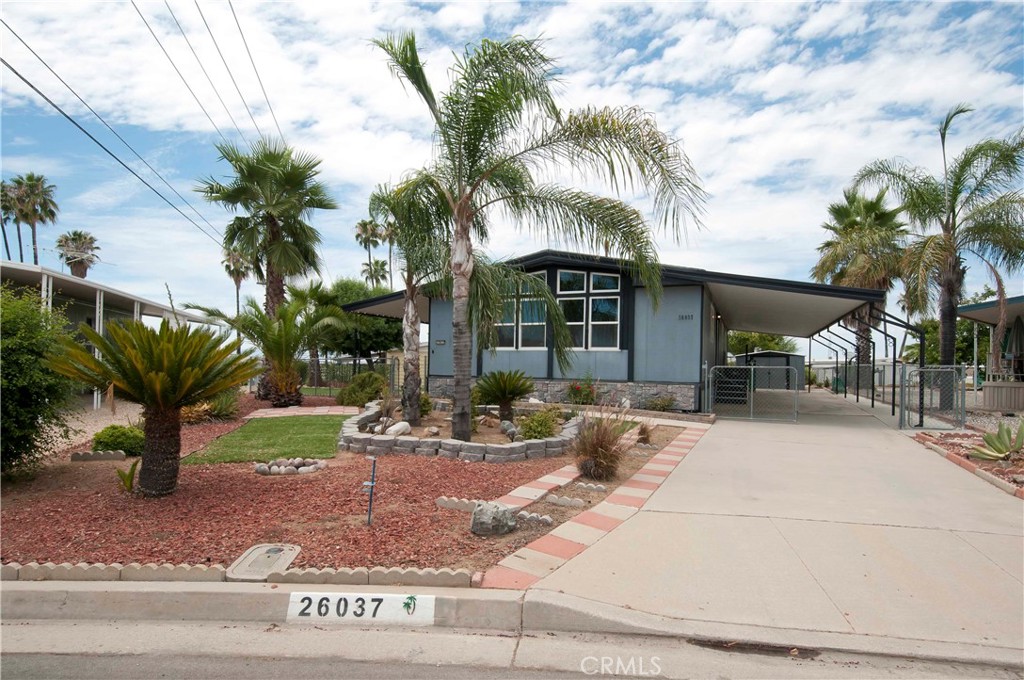 26037 Sago Palm Drive