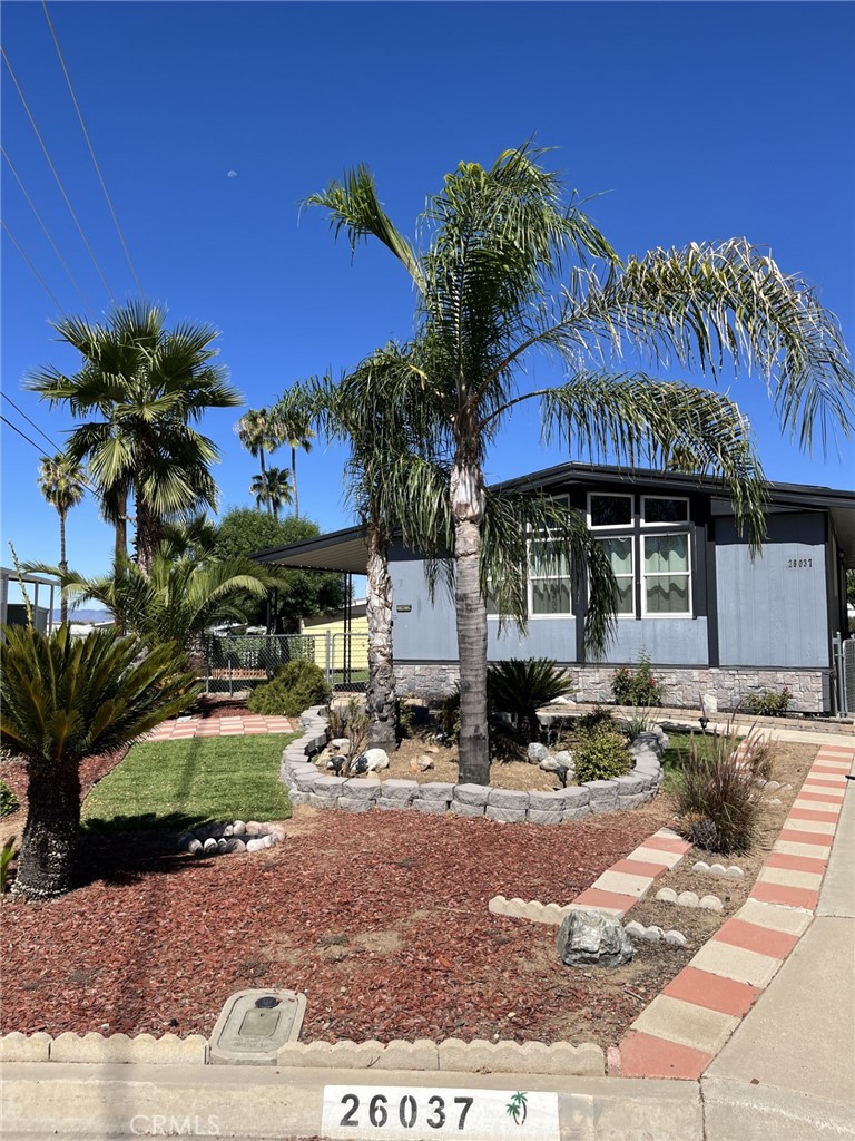 26037 Sago Palm Drive