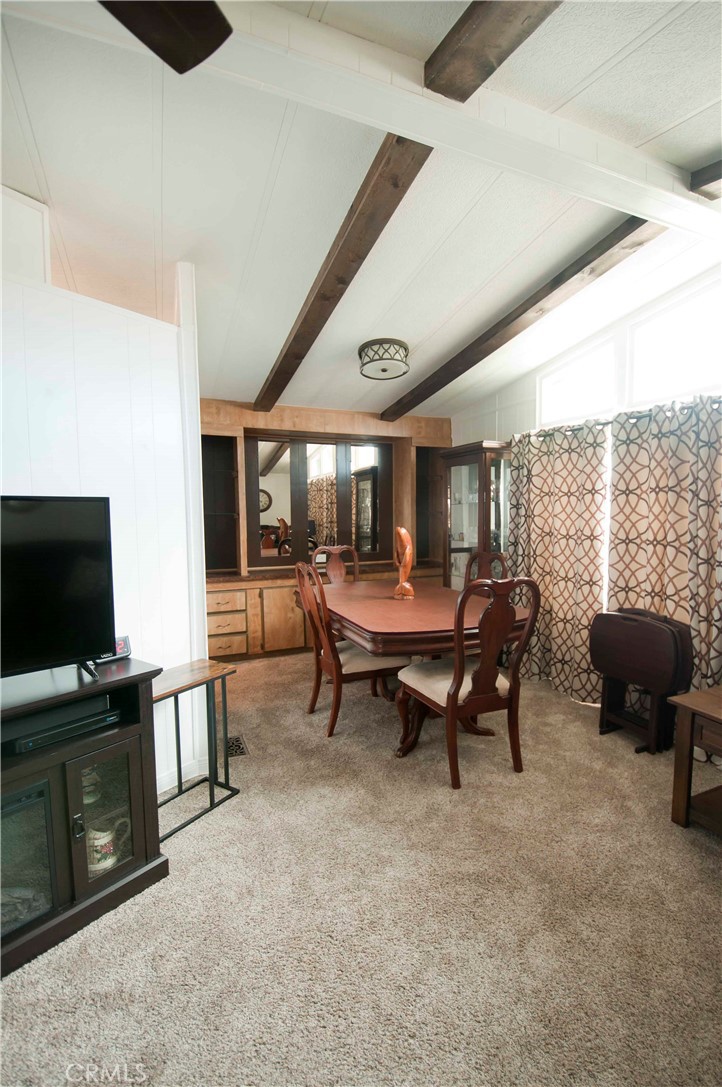 26037 Sago Palm Drive