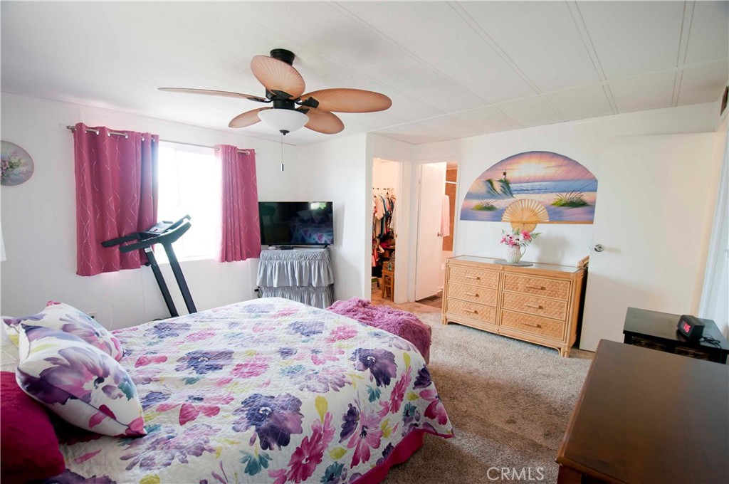 26037 Sago Palm Drive