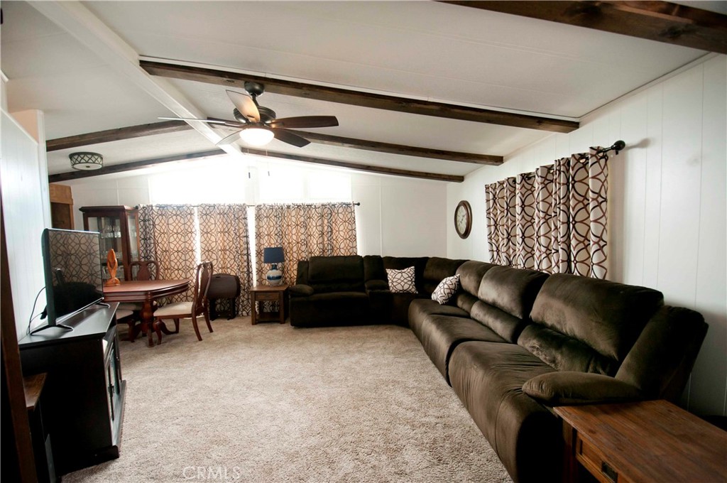 26037 Sago Palm Drive