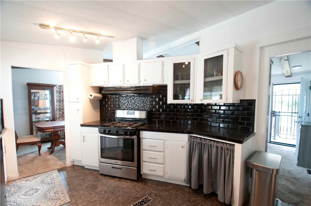 26037 Sago Palm Drive