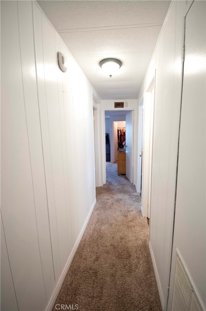 26037 Sago Palm Drive