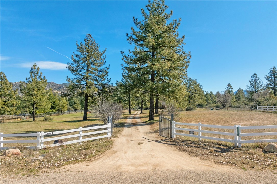 60164 Devils Ladder Road