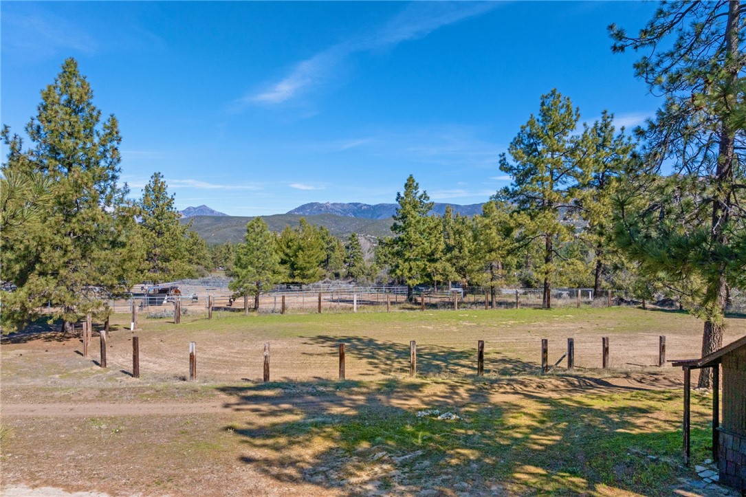 60164 Devils Ladder Road