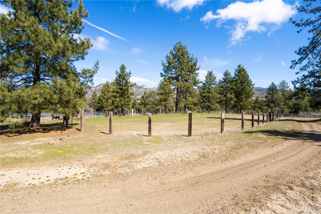 60164 Devils Ladder Road