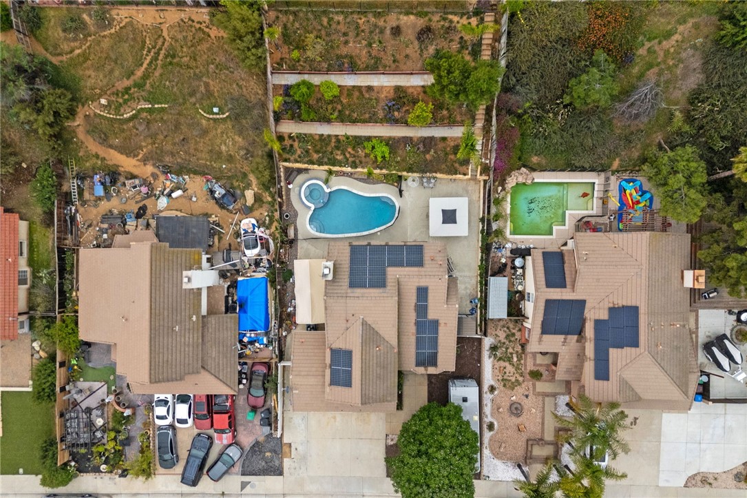 11735 Country Flower