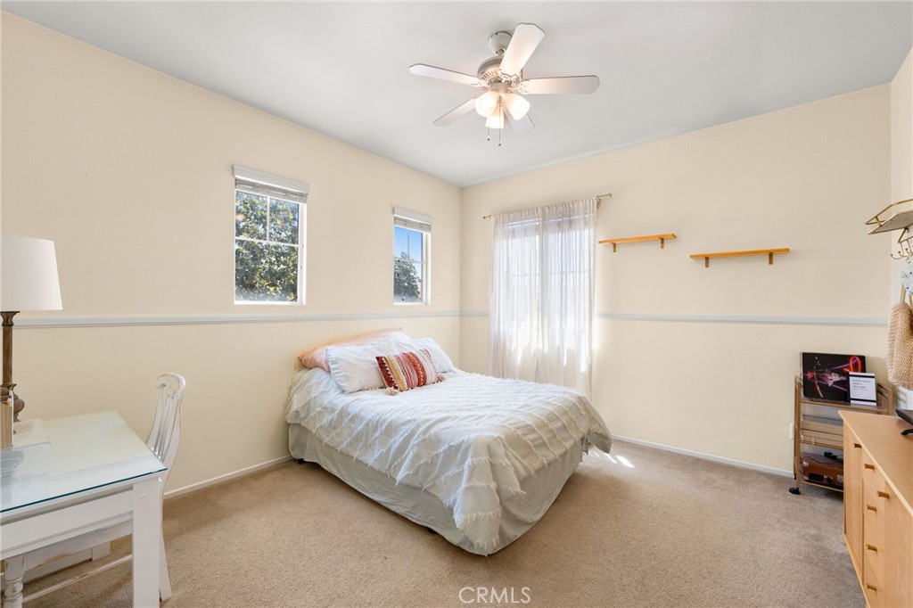 8561 Lodgepole