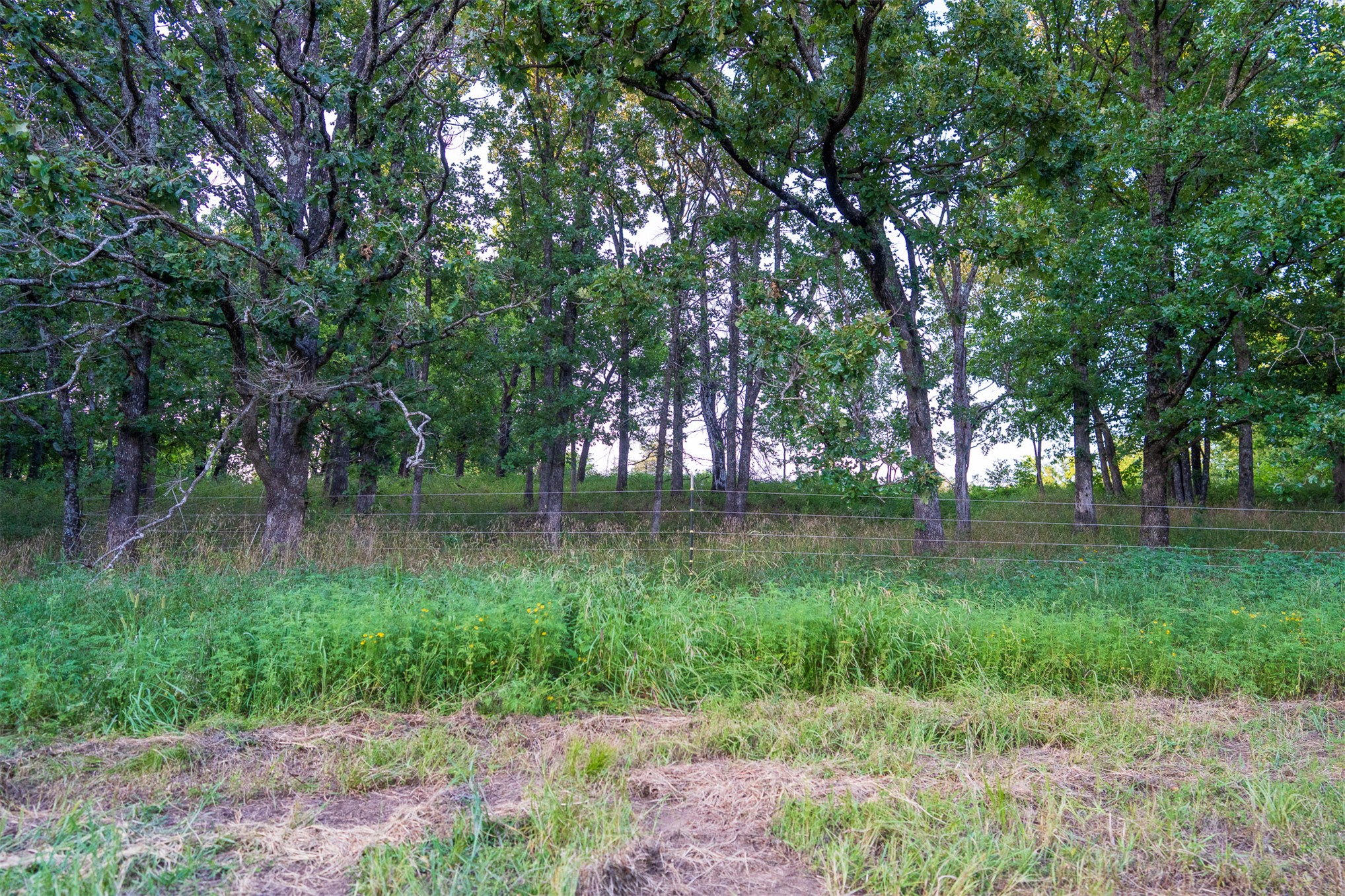 15290 E 400 Road