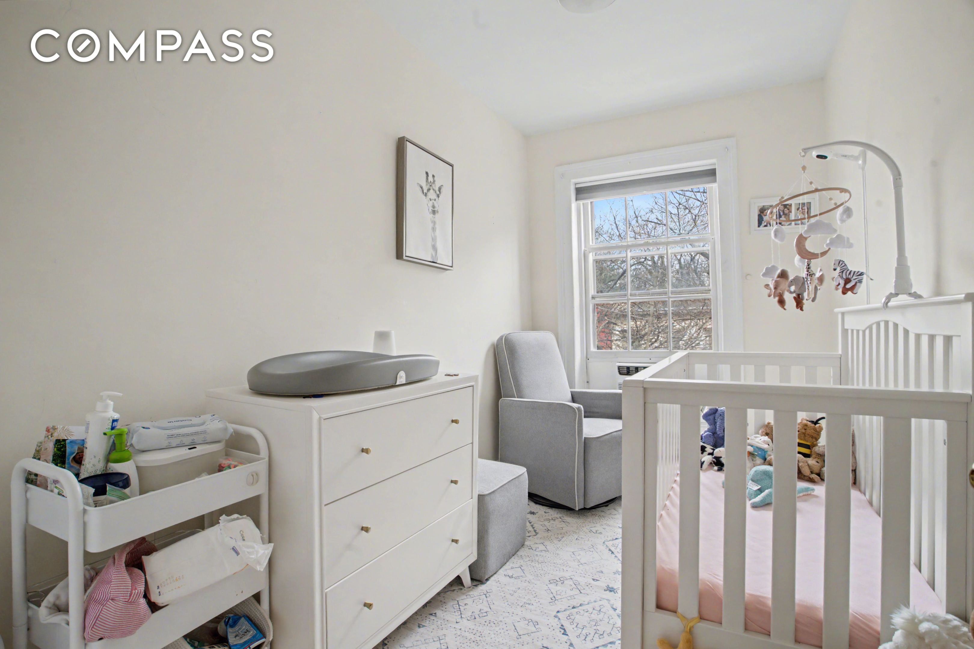 246 Cumberland Street 2