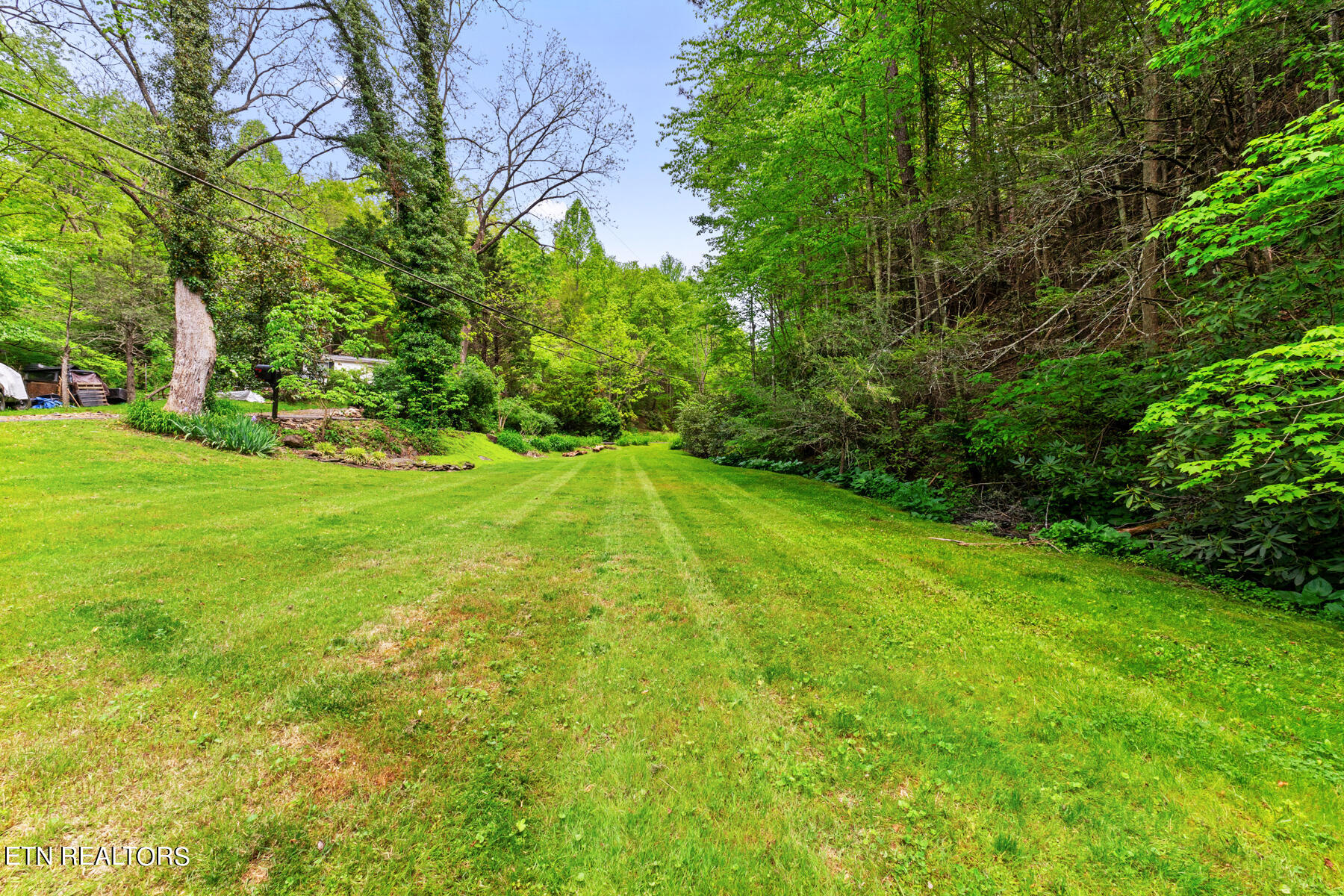 514 Butler Branch Rd