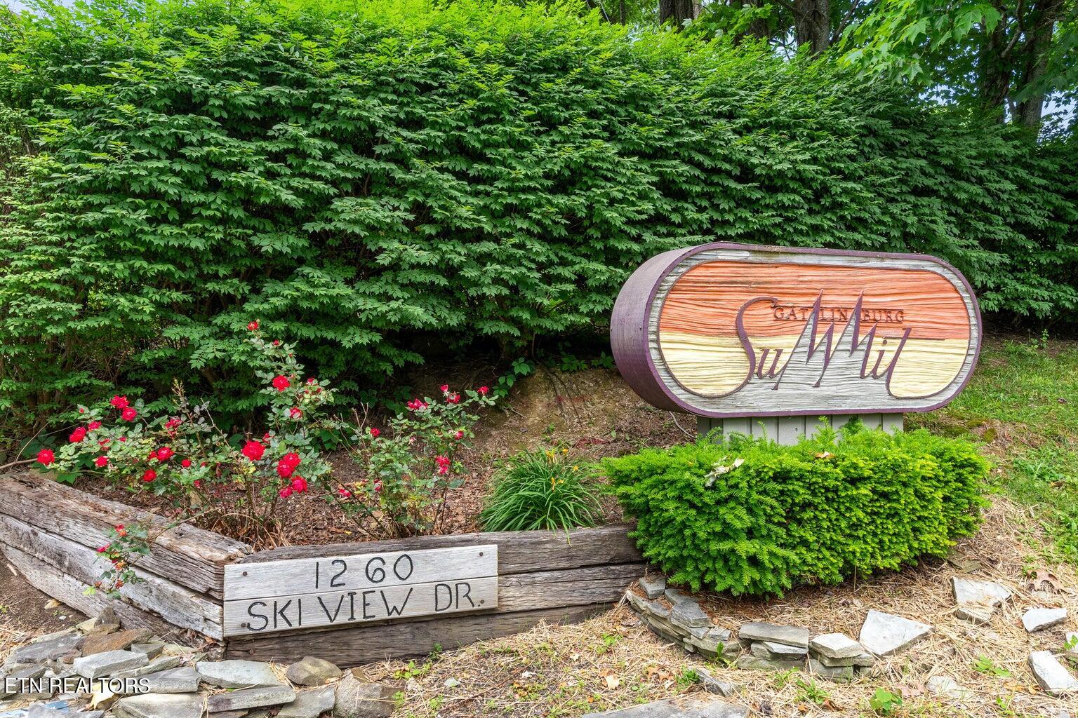 1260 Ski View Drive, UNIT 3206