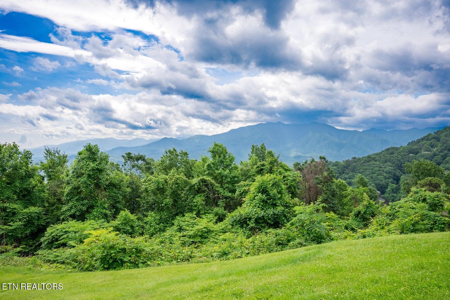 1260 Ski View Drive, UNIT 3206