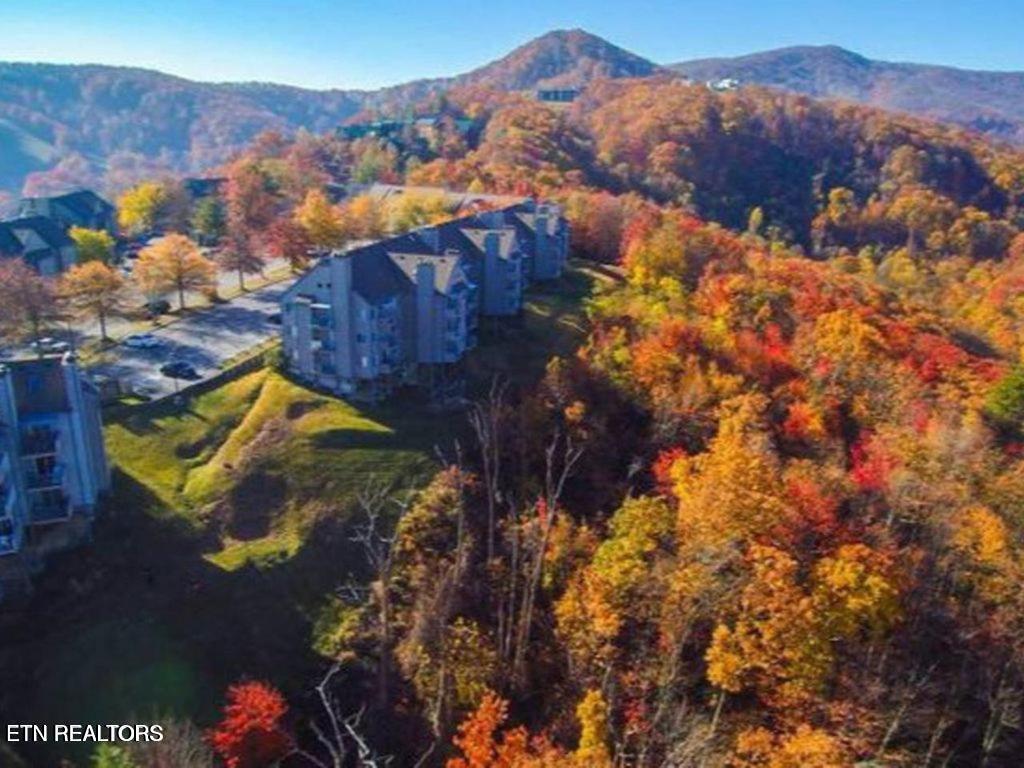 1260 Ski View Drive, UNIT 8104