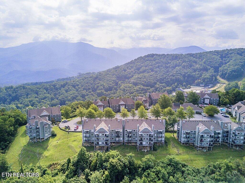 1260 Ski View Drive, UNIT 8104