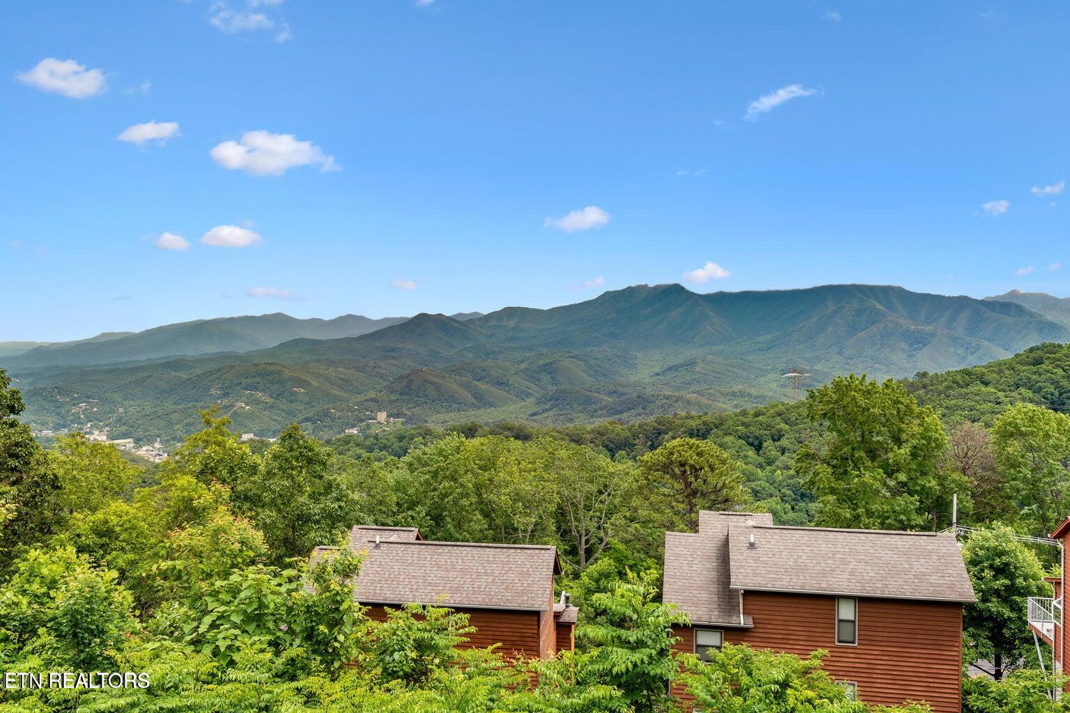1260 Ski View Drive, UNIT 8104