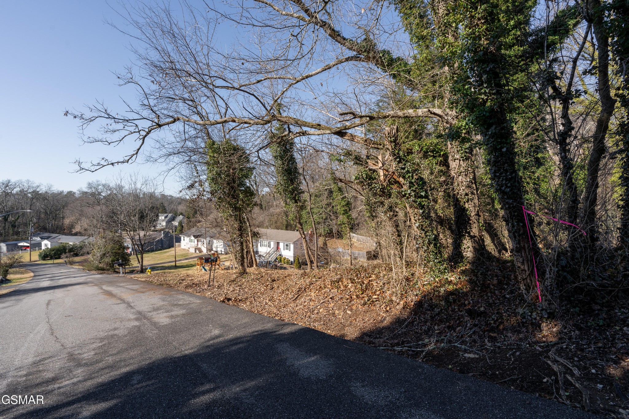 131 Judith Drive