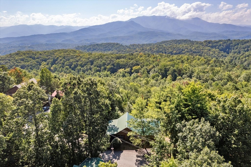 2104 E View Drive Unit: PERFECTION
