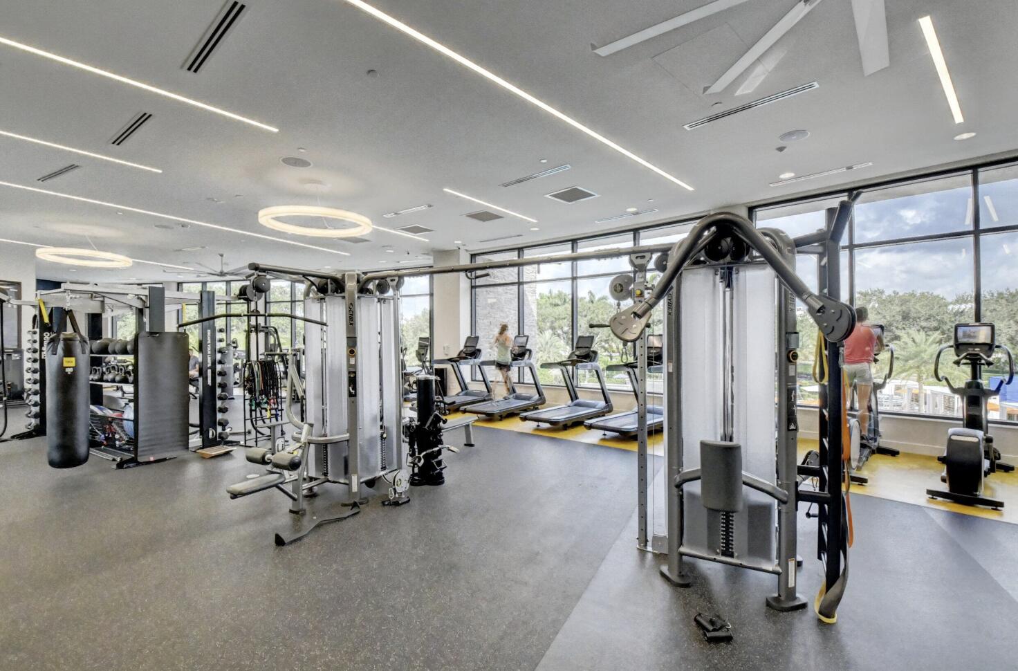 Fitness center with weight machines and treadmills beside large windows overlooking palm trees.