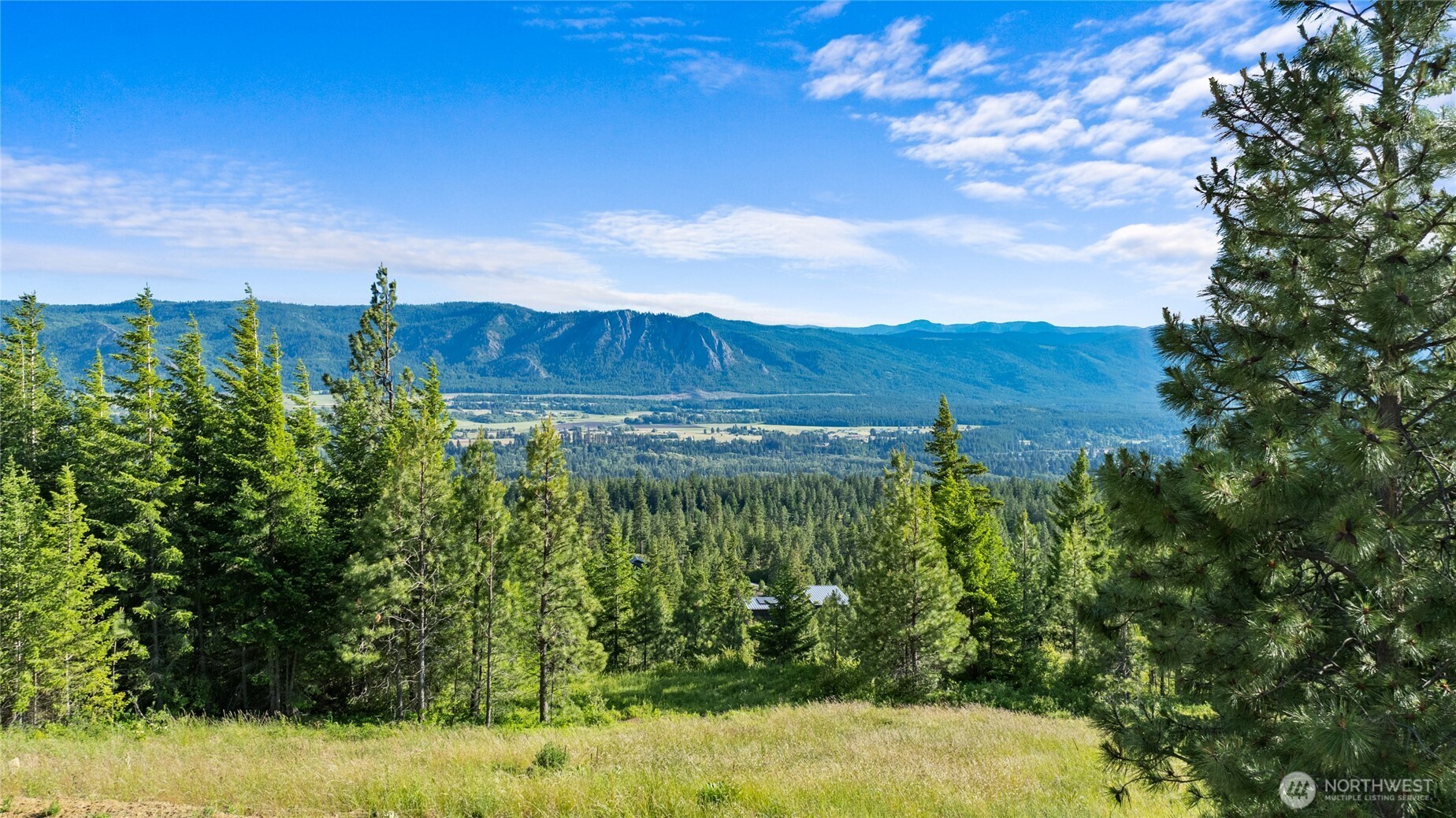 31 Forest Ridge Drive