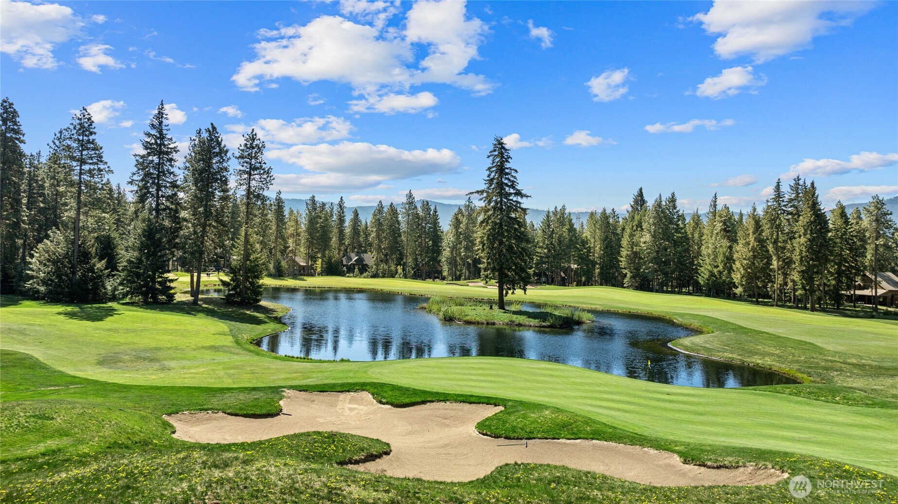 160 Bunchberry Court