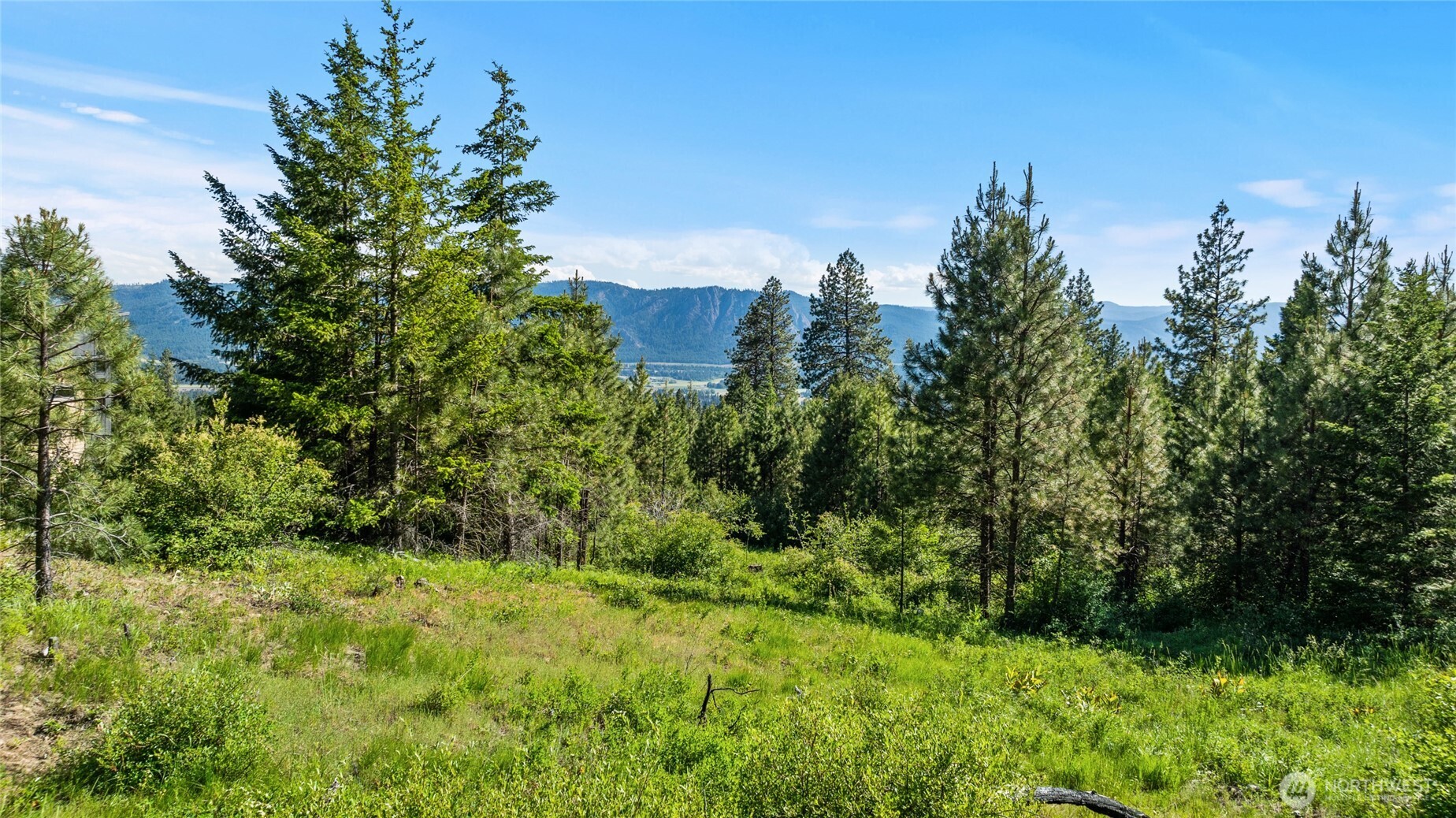 29 Forest Ridge Drive
