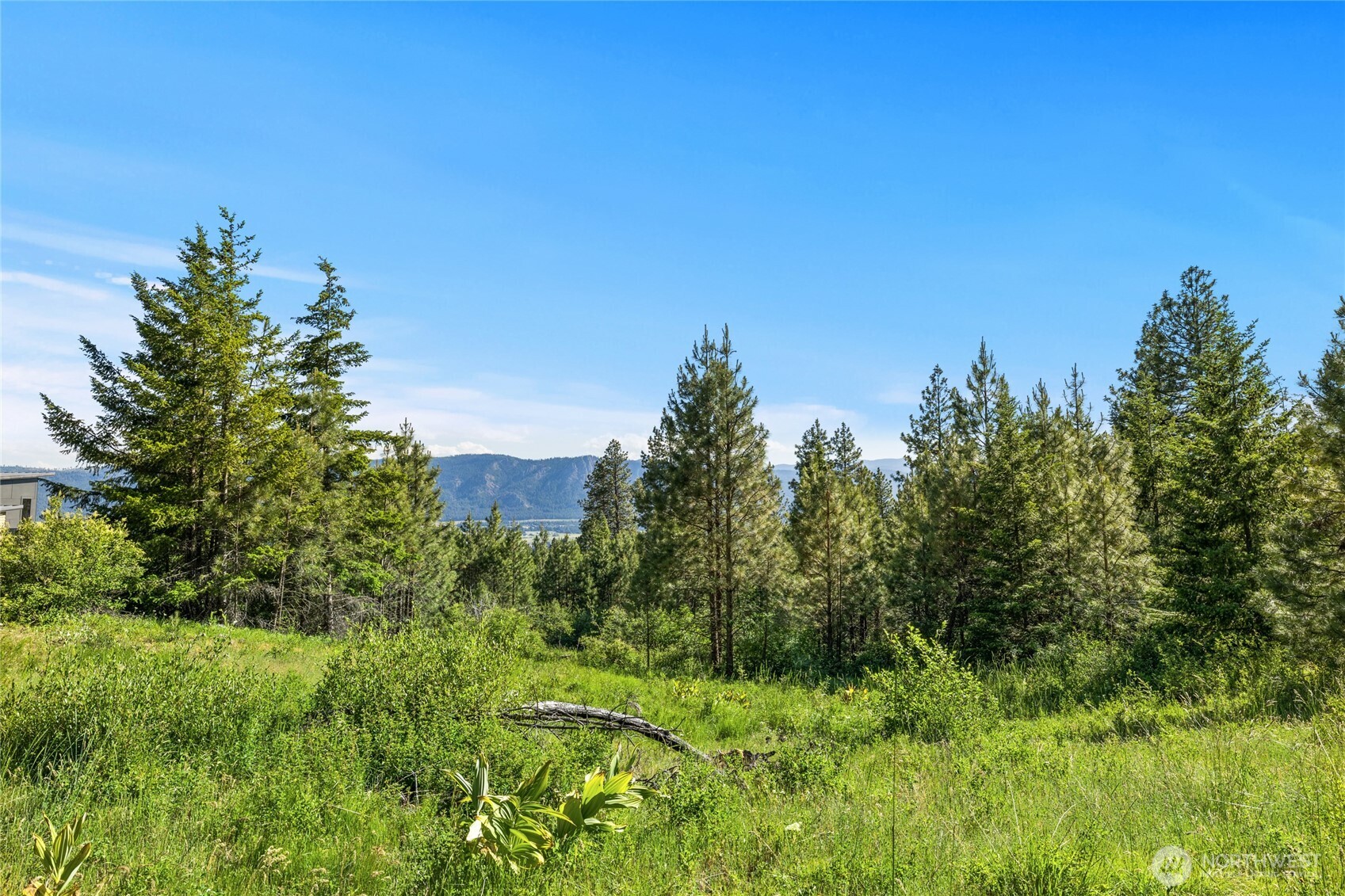 29 Forest Ridge Drive