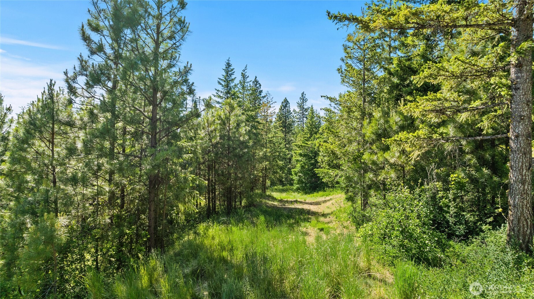29 Forest Ridge Drive