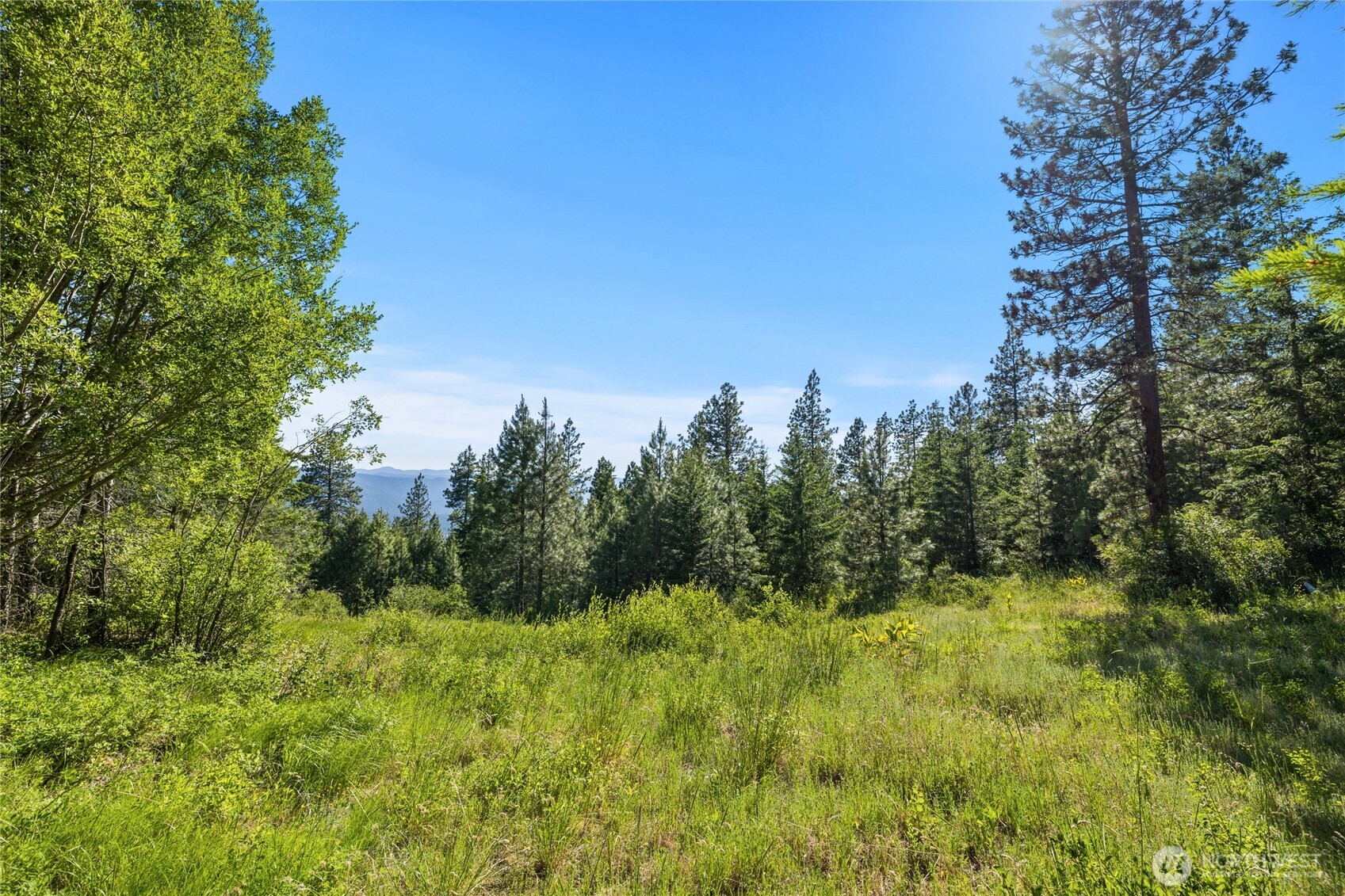 29 Forest Ridge Drive