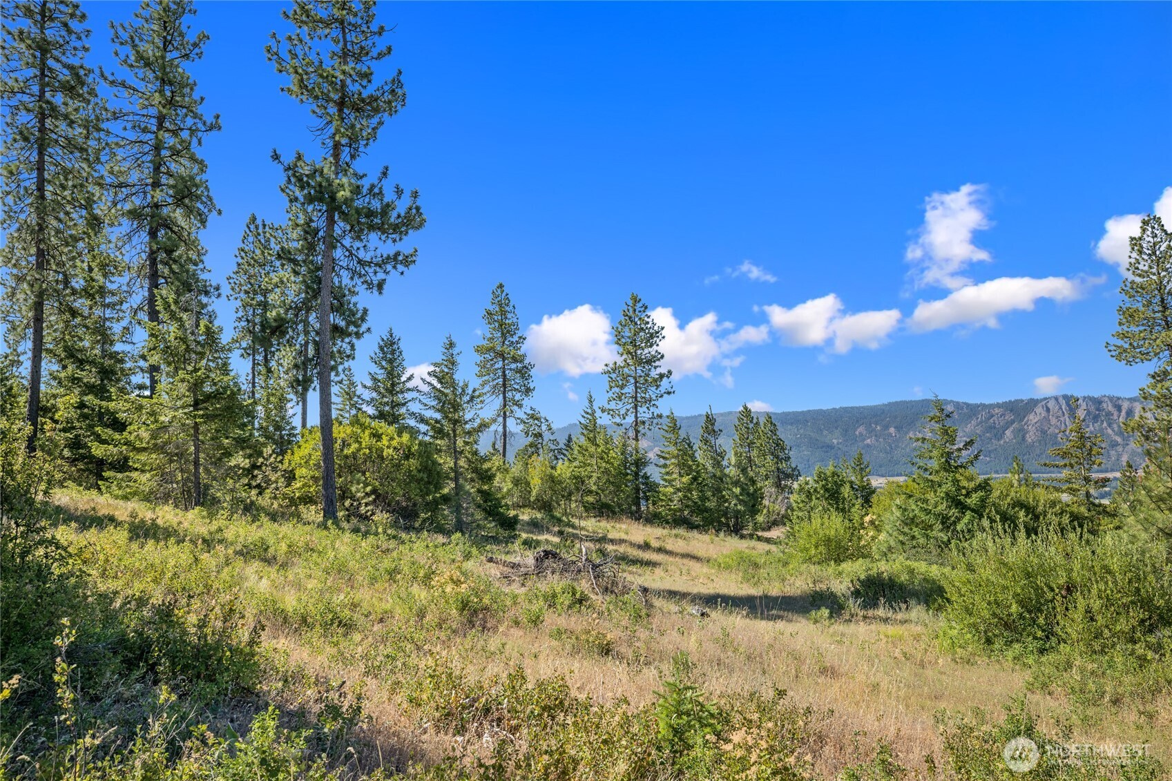 18 Forest Ridge Drive
