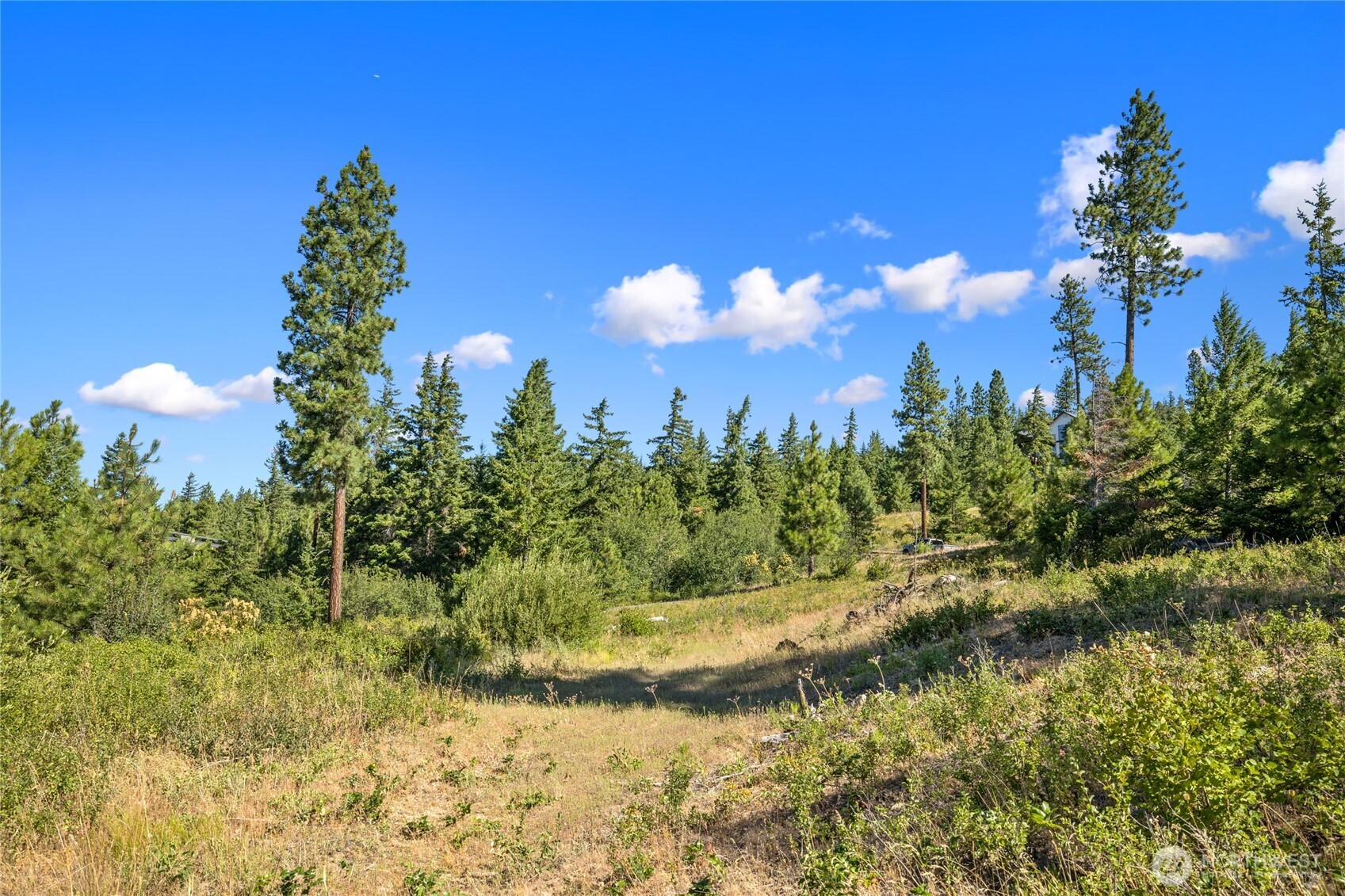 18 Forest Ridge Drive
