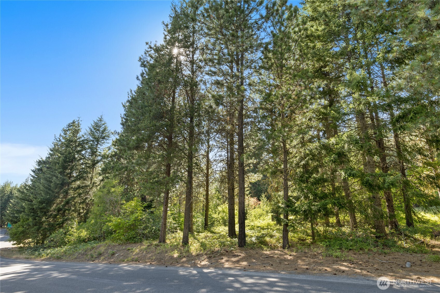 711 Ruby King Loop