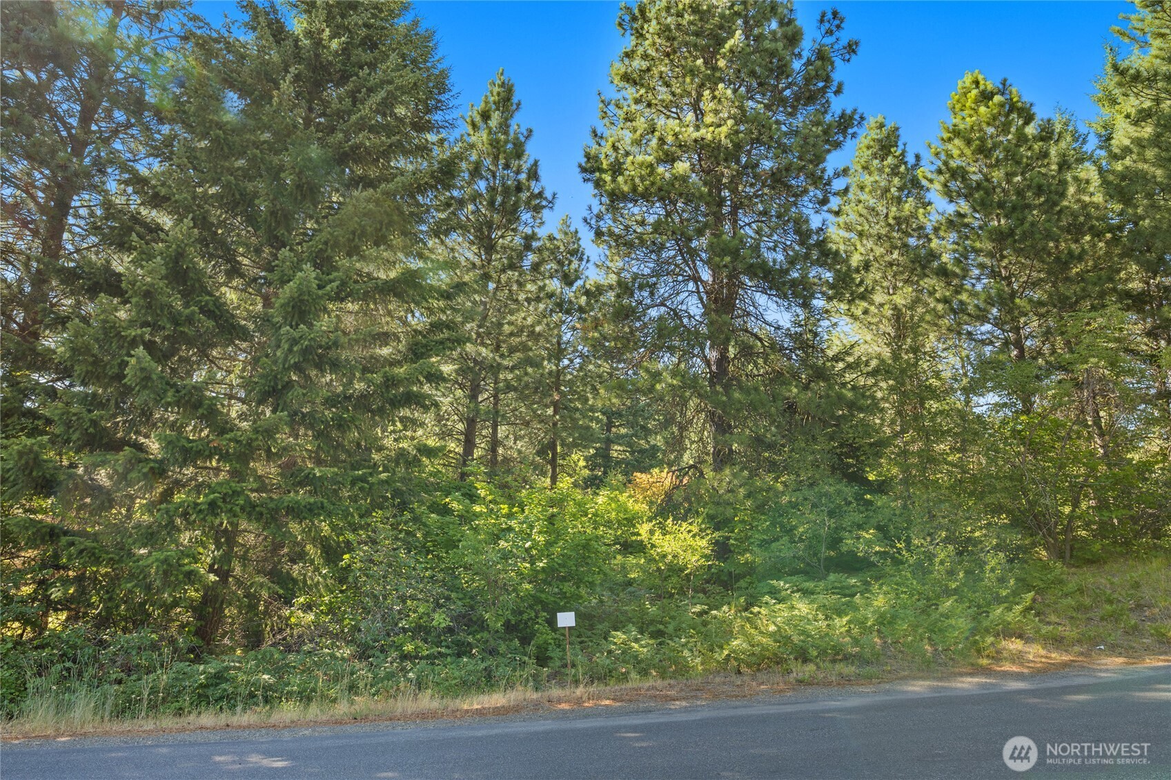 711 Ruby King Loop